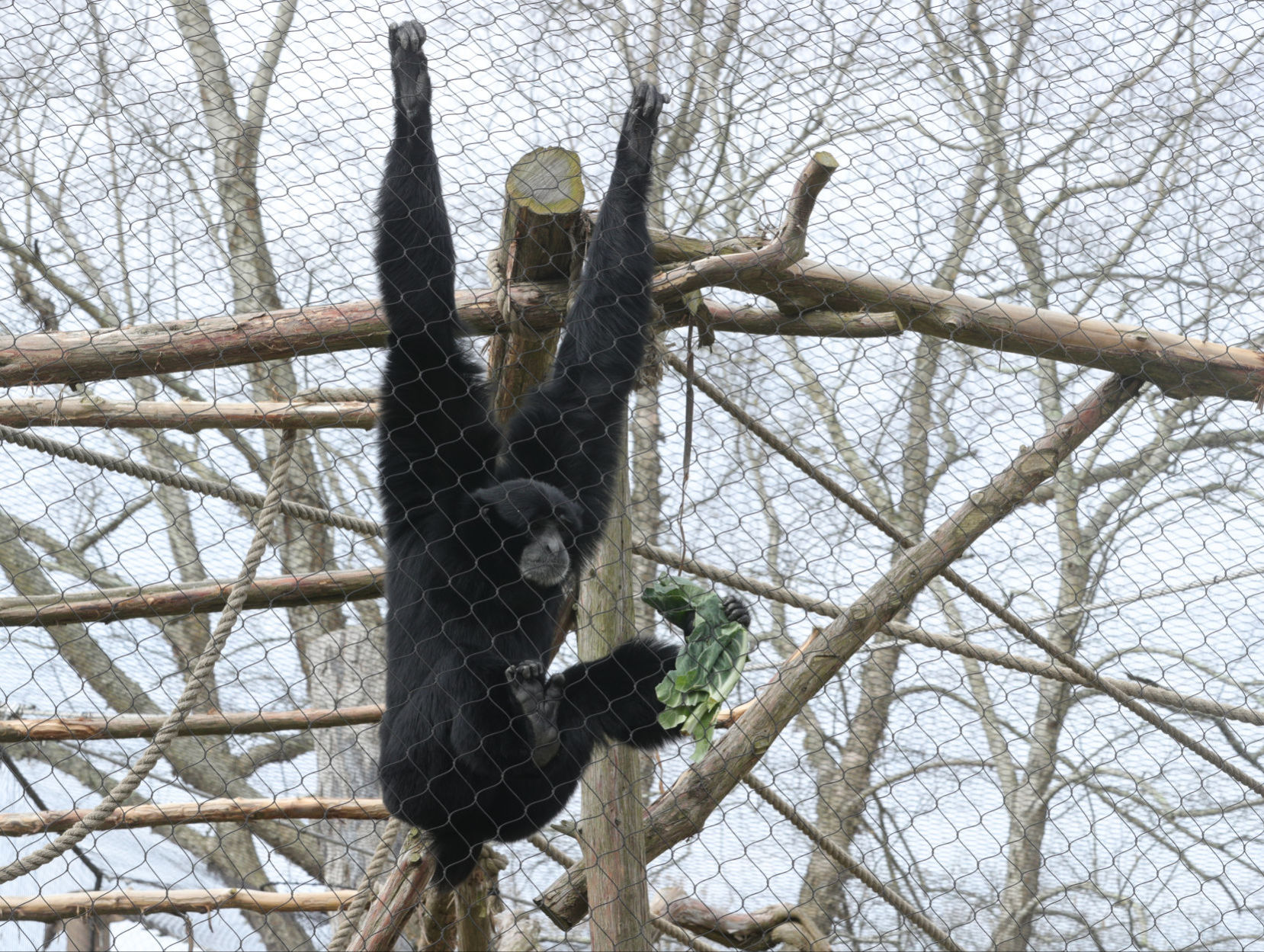 Cape May Zoo